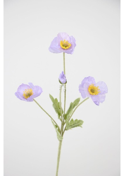 Yapay Çiçek 4lü Gelincik Dalı 60 cm Lila modelleri