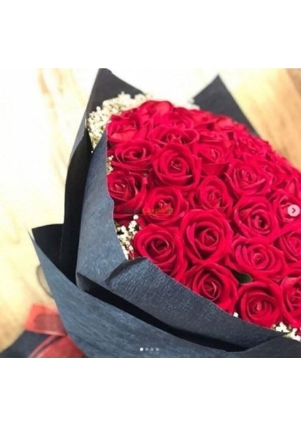 Kadife Güllü Isteme Çiçegi modelleri