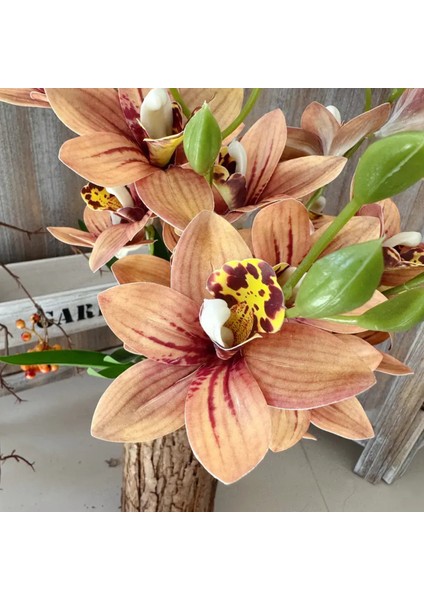 Yapay Çiçek Islak Dokulu Orkide 3 Dal 45 cm Pastel Renk indirimleri