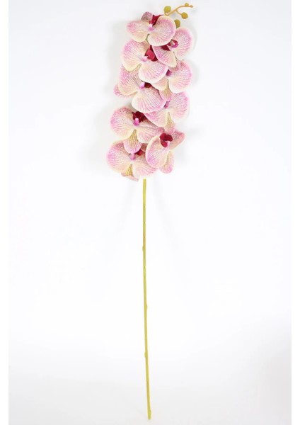 Yapay Islak Orkide Çiçeği Baskılı Tek Dal 100 cm Fuşya Krem