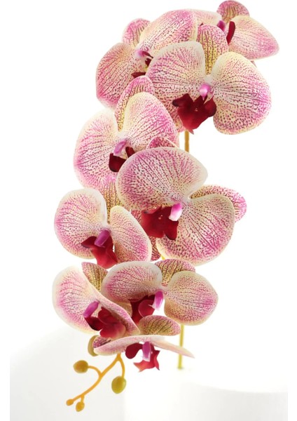 Yapay Islak Orkide Çiçeği Baskılı Tek Dal 100 cm Fuşya Krem modelleri