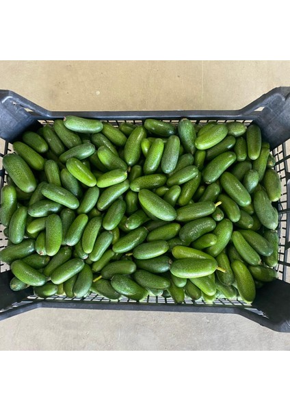 Bebek Avokado (Baby Avokado) – Taze, Çekirdeksiz, Doğal Yerli Üretim