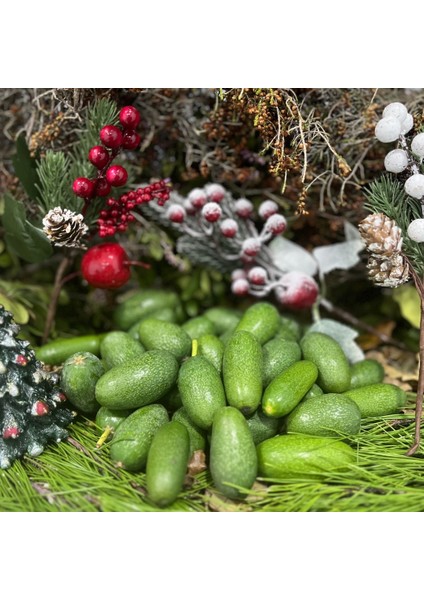 Bebek Avokado (Baby Avokado) – Taze, Çekirdeksiz, Doğal Yerli Üretim modelleri