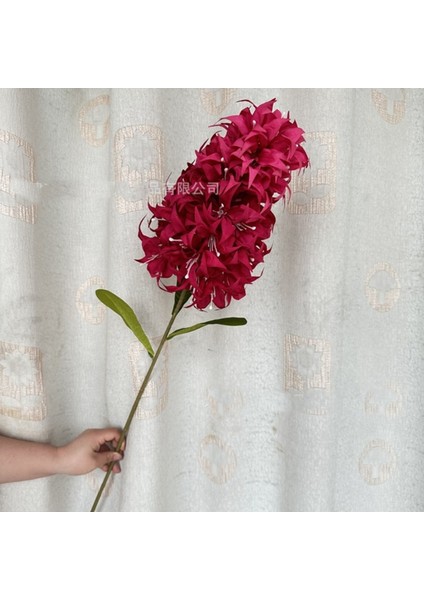 Yapay Şebboy Çiçeği Kırmızı 100 cm