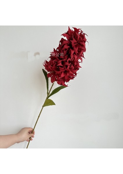Yapay Şebboy Çiçeği Kırmızı 100 cm fiyatları