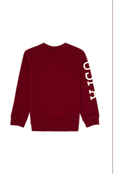 Erkek Çocuk Bordo Sweatshirt 50313831-VR014 fiyatları