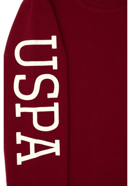 Erkek Çocuk Bordo Sweatshirt 50313831-VR014 modelleri