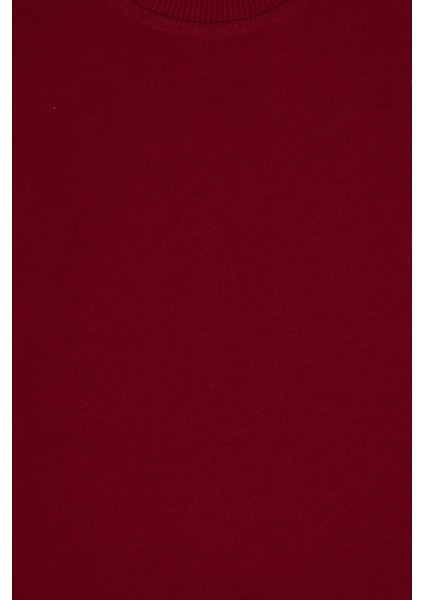 Erkek Çocuk Bordo Sweatshirt 50313831-VR014 fırsatları