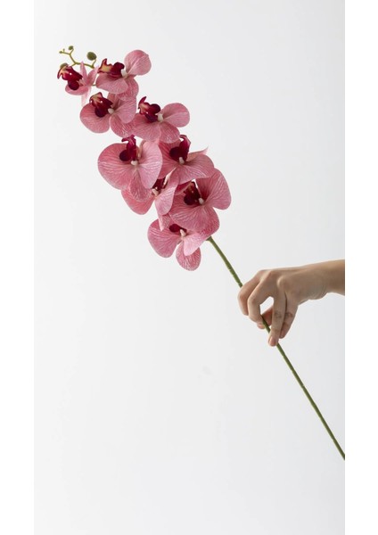 Yapay Islak Orkide Çiçeği Baskılı Tek Dal 100 cm Pembe