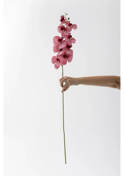 Yapay Islak Orkide Çiçeği Baskılı Tek Dal 100 cm Pembe fiyatları