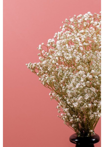 Şoklanmış Cipso Demeti Beyaz