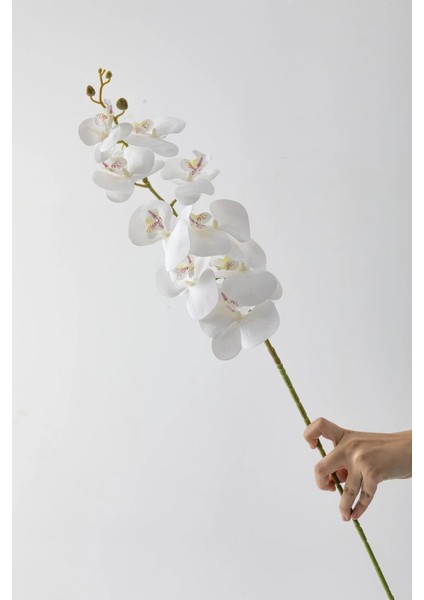 Yapay Islak Orkide Çiçeği Beyaz Tek Dal 100 cm