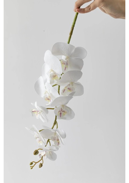 Yapay Islak Orkide Çiçeği Beyaz Tek Dal 100 cm fiyatları