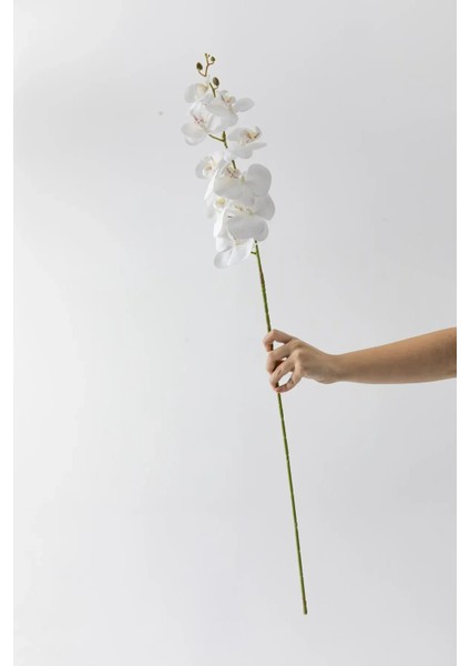 Yapay Islak Orkide Çiçeği Beyaz Tek Dal 100 cm modelleri