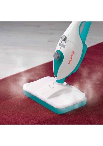 Vaporetto SV205 Buharlı Paspas