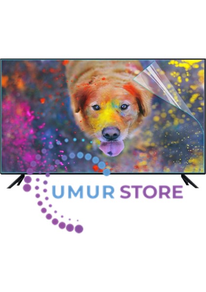 55ınç Tv Ekran Koruyucu