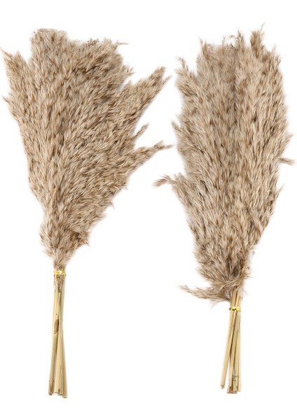20PCS Doğal Kuru Pampas Çim, Vahşi Kabarık Pompas Çiçek, Boho Dekor Çiçekleri Açık Hava Düğün Kahverengi Için Uygun (Yurt Dışından)