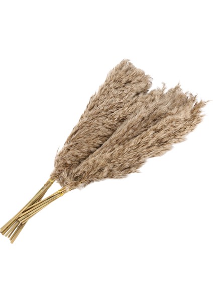 20PCS Doğal Kuru Pampas Çim, Vahşi Kabarık Pompas Çiçek, Boho Dekor Çiçekleri Açık Hava Düğün Kahverengi Için Uygun (Yurt Dışından) modelleri