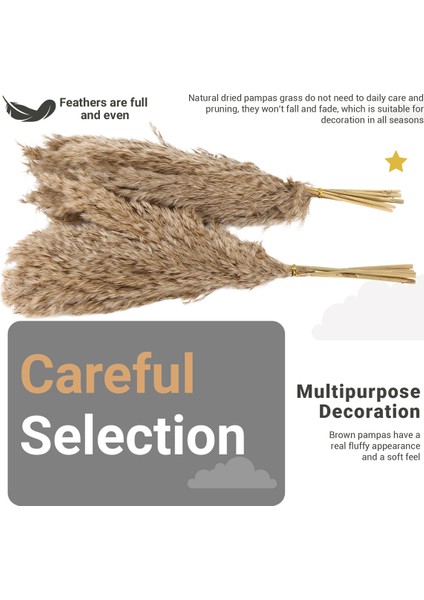 20PCS Doğal Kuru Pampas Çim, Vahşi Kabarık Pompas Çiçek, Boho Dekor Çiçekleri Açık Hava Düğün Kahverengi Için Uygun (Yurt Dışından) indirimleri