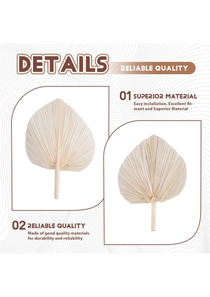 Büyük Beyaz Kurutulmuş Palmiye Yaprakları - Premium - 3 Pc Zarif Modern Boho Ev ve Düğün Dekoru - Duvar Sanatı (Yurt Dışından) indirimleri