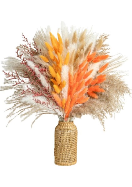 Sonbahar Dekor Pampas Çim 100PCS Buket Ev Dekoru Uzun Ömürlü Kuru Çiçekler Buket Kamış Tavşan Kuyruk Buket Dekorasyon (Yurt Dışından)