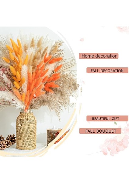 Sonbahar Dekor Pampas Çim 100PCS Buket Ev Dekoru Uzun Ömürlü Kuru Çiçekler Buket Kamış Tavşan Kuyruk Buket Dekorasyon (Yurt Dışından) indirimleri