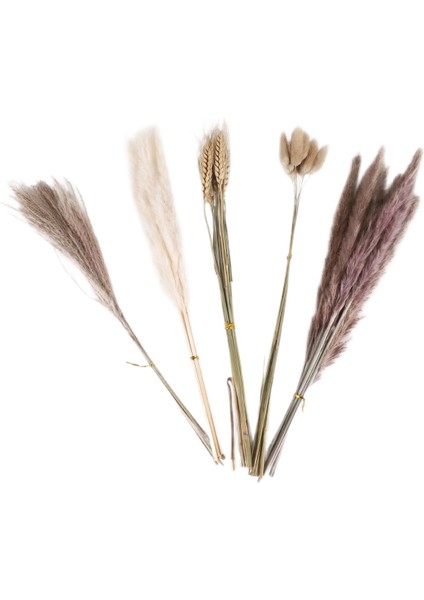 Doğal Pampas Çim Dekor 40 Parça, 45CM Doğal Kuru Beyaz Tavşan Kuyruk Buğday Tozu Pampas Çim Bitki Boho Dekor (Yurt Dışından)