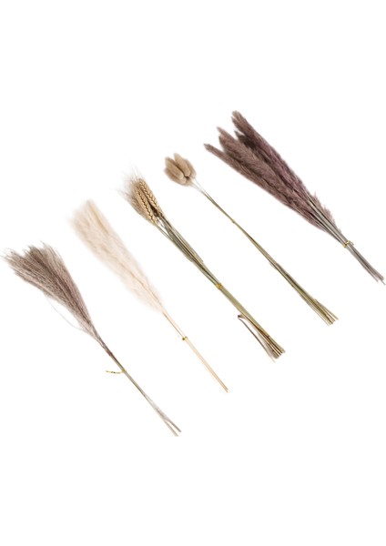 Doğal Pampas Çim Dekor 40 Parça, 45CM Doğal Kuru Beyaz Tavşan Kuyruk Buğday Tozu Pampas Çim Bitki Boho Dekor (Yurt Dışından) modelleri