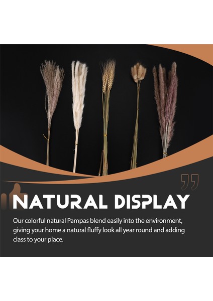Doğal Pampas Çim Dekor 40 Parça, 45CM Doğal Kuru Beyaz Tavşan Kuyruk Buğday Tozu Pampas Çim Bitki Boho Dekor (Yurt Dışından) fırsatları