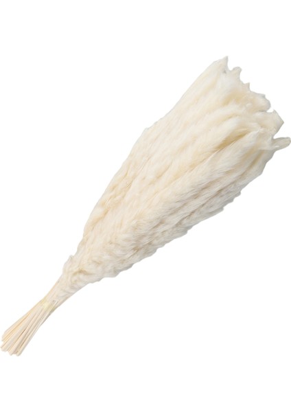 40PCS Doğal Kurutulmuş Beyaz Pampas Çim 45CM Kabarık ve Sallanan Diy Boho Bitki Düğün Çiçek Aranjmanları Dekor (Yurt Dışından) modelleri