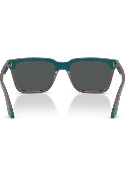 Ea 4260 631487 55 Emporio Armani Güneş Gözlüğü modelleri