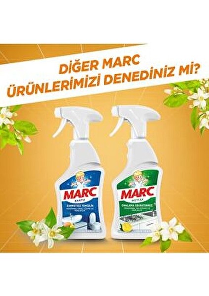 Fırın ve Airfryer Temizleyici Yağ ve Kalıntılara Karşı Etkili 2x750 ml Uzman Serisi