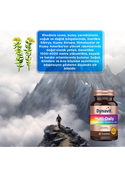Multi-Daily 30 Kapsül - 2'li Avantaj Paketi - Koenzim Q10, Rhodiola, Multivitamin ve Multimineral modelleri