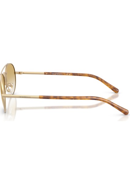 Ea 2171 30022Q 57 Emporio Armani Güneş Gözlüğü fiyatları