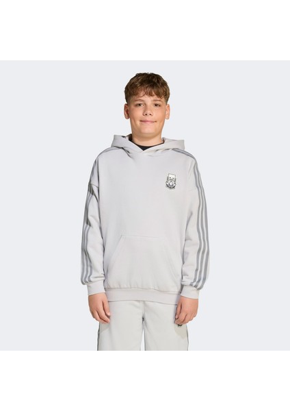 Hoodıe Çocuk Gri Sweatshirt.- fiyatları