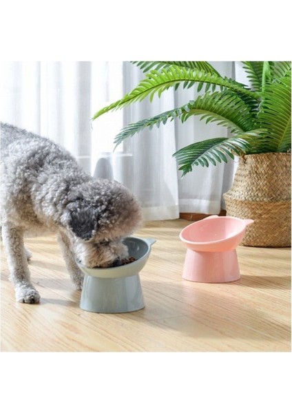 Plastik 2 Adet Eğimli Mama ve Su Kabı Boyun Koruyucu Kedi Köpek Mama Kabı Evcil Hayvan Mama Kasesi Mama Kabı fırsatları