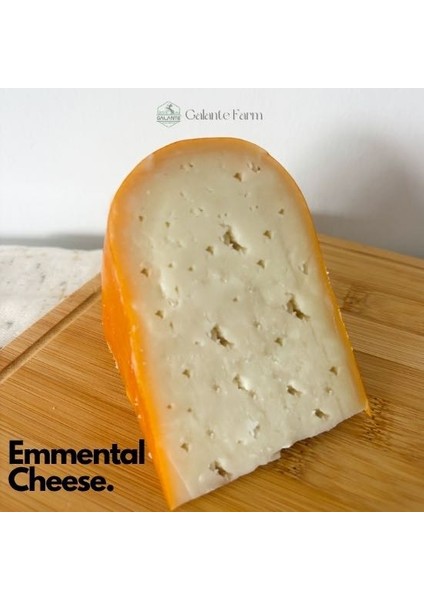 Emmental (1 Kg) fiyatları