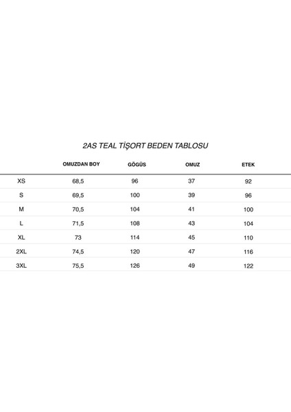 Teal Polo Yaka Erkek Tişört Mavi