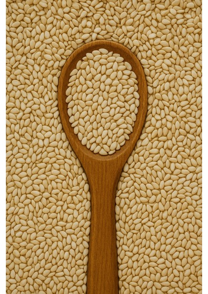 Susam Yağı Soğuk Sıkım 1kg fiyatları