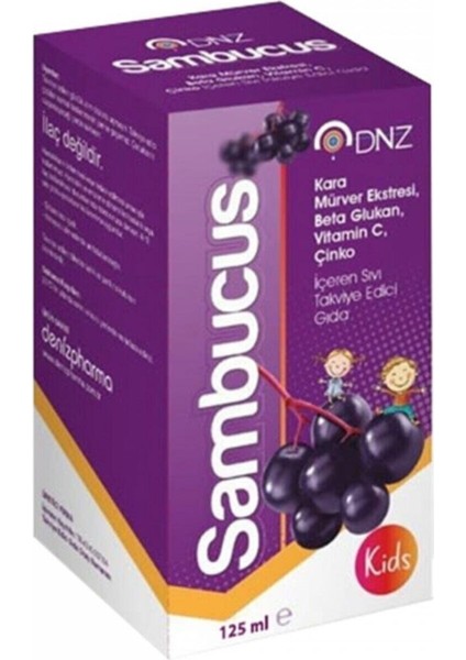 Dnz Sambucus Kara Mürver Şurup 125 ml fiyatları