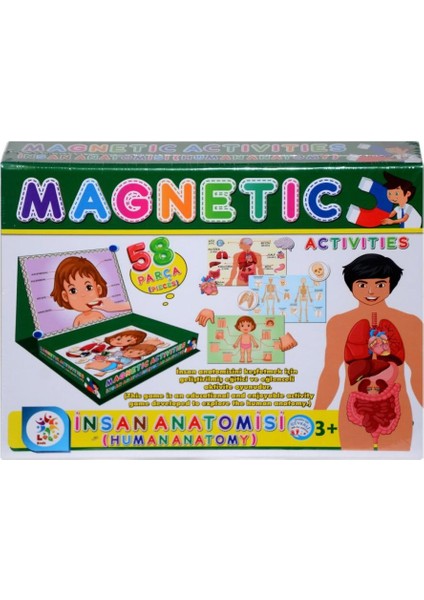 LC7171 Laço, Laço, Manyetik Aktiviteler - Insan Anatomisi / +3 Yaş