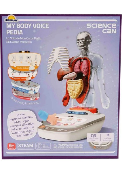 Sesli Insan Vücudu Modeli Bilim Seti indirimleri