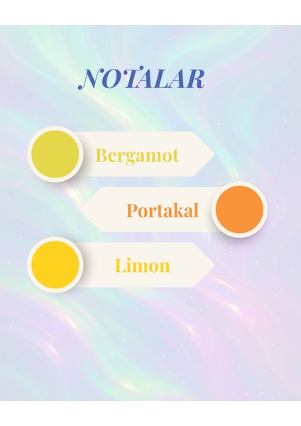 Amber Kavanoz Serisi/ Sunkissedlemon modelleri