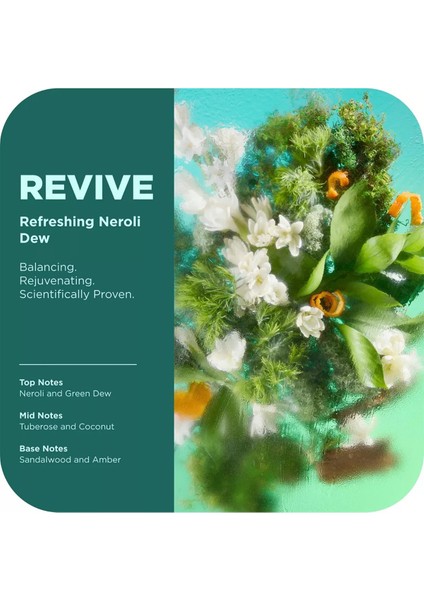 Revive Mood + Skin Duş Jeli 502ML indirimleri