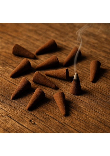 Darshan Incense Lotus Konik Tütsü 10 Adet modelleri