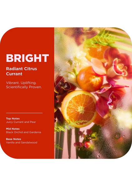 Bright Mood + Skin Duş Jeli 502ML indirimleri