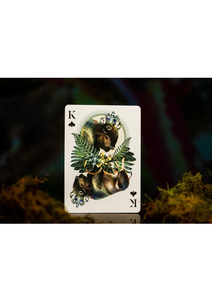 Mooı Extınct Anımals Oyun Kart