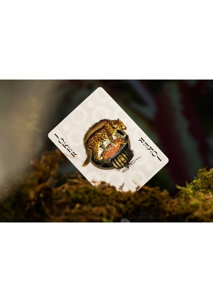 Mooı Extınct Anımals Oyun Kart