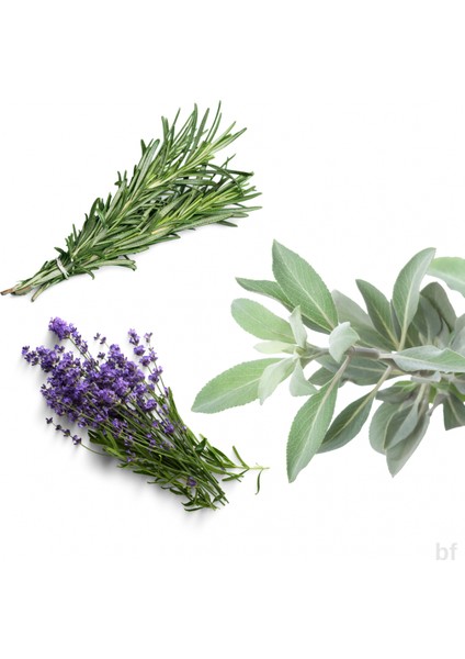 10 'lu Tıbbı Aromatik Bitki Paketi fiyatları