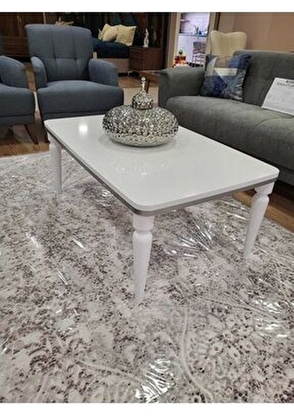 Orta Sehpa MDF ve Gürgen Malzeme ile Şık Beyaz Gümüş Tasarım 107x67 cm indirimleri
